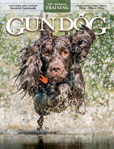 Gun Dog-Digital Magazine