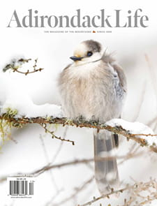 Adirondack Life Magazine