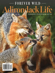 Adirondack Life Magazine