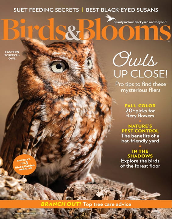 Birds & Blooms - Digital Magazine