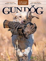 Gun Dog-Digital Magazine