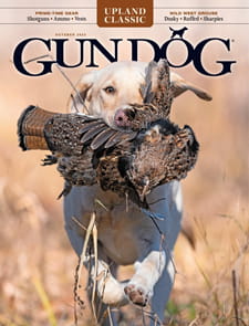 Gun Dog-Digital Magazine