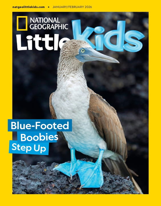 National Geographic Little Kids Magazine