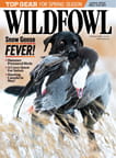 Wildfowl-Digital